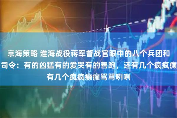 京海策略 淮海战役蒋军督战官眼中的八个兵团和绥靖区中将司令：有的凶猛有的爱哭有的善跑，还有几个疯疯癫癫骂骂咧咧