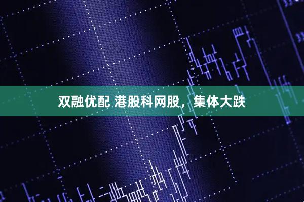 双融优配 港股科网股，集体大跌