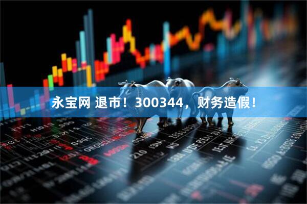 永宝网 退市！300344，财务造假！