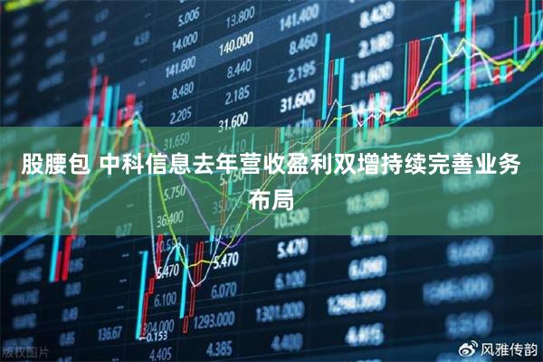 股腰包 中科信息去年营收盈利双增持续完善业务布局