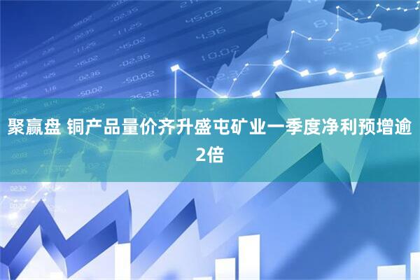 聚赢盘 铜产品量价齐升盛屯矿业一季度净利预增逾2倍