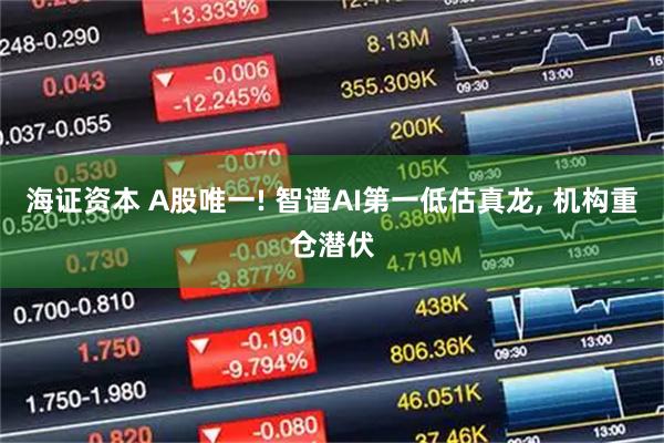 海证资本 A股唯一! 智谱AI第一低估真龙, 机构重仓潜伏