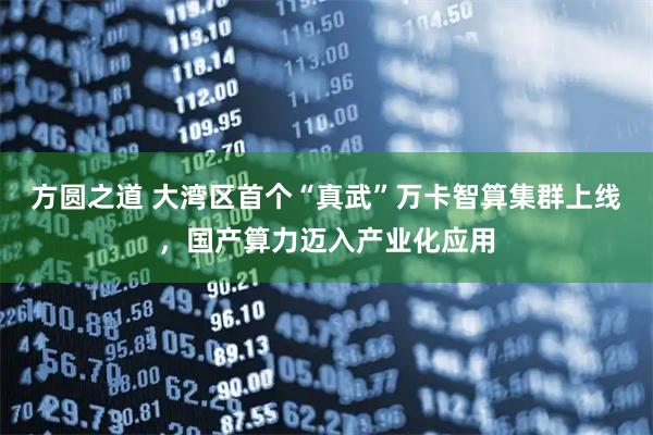 方圆之道 大湾区首个“真武”万卡智算集群上线，国产算力迈入产业化应用