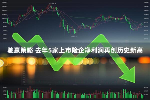 驰赢策略 去年5家上市险企净利润再创历史新高
