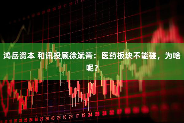 鸿岳资本 和讯投顾徐斌箐：医药板块不能碰，为啥呢？