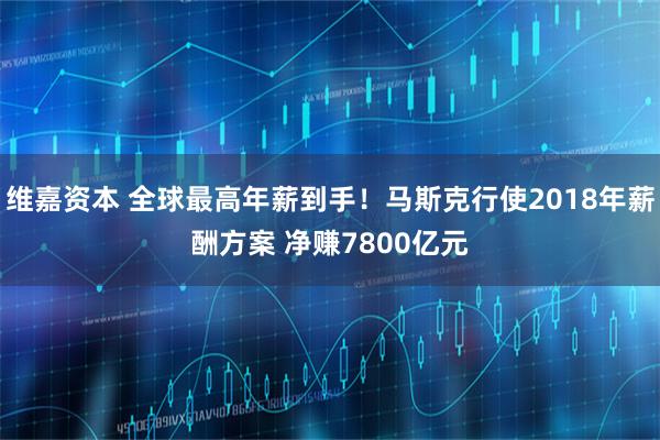 维嘉资本 全球最高年薪到手！马斯克行使2018年薪酬方案 净赚7800亿元