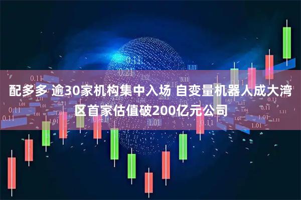 配多多 逾30家机构集中入场 自变量机器人成大湾区首家估值破200亿元公司