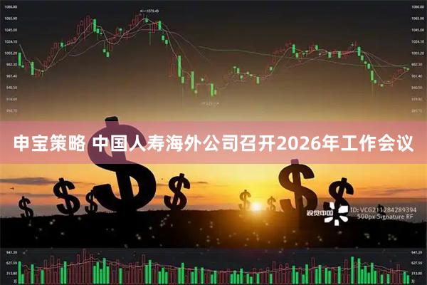 申宝策略 中国人寿海外公司召开2026年工作会议